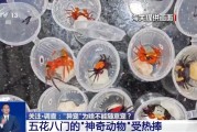 焦作@铲屎官们 养“异宠”或危害国家安全 这些行为违法了