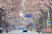 焦作共建“花园城市” 北京这场议政会“百花齐放”