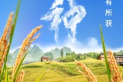 焦作芒种节气小知识来了 夏种作物都有什么？