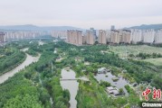 焦作西宁市举办六五环境日主题宣传活动